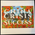 Warped By Success (Remastered 2026) VINYL