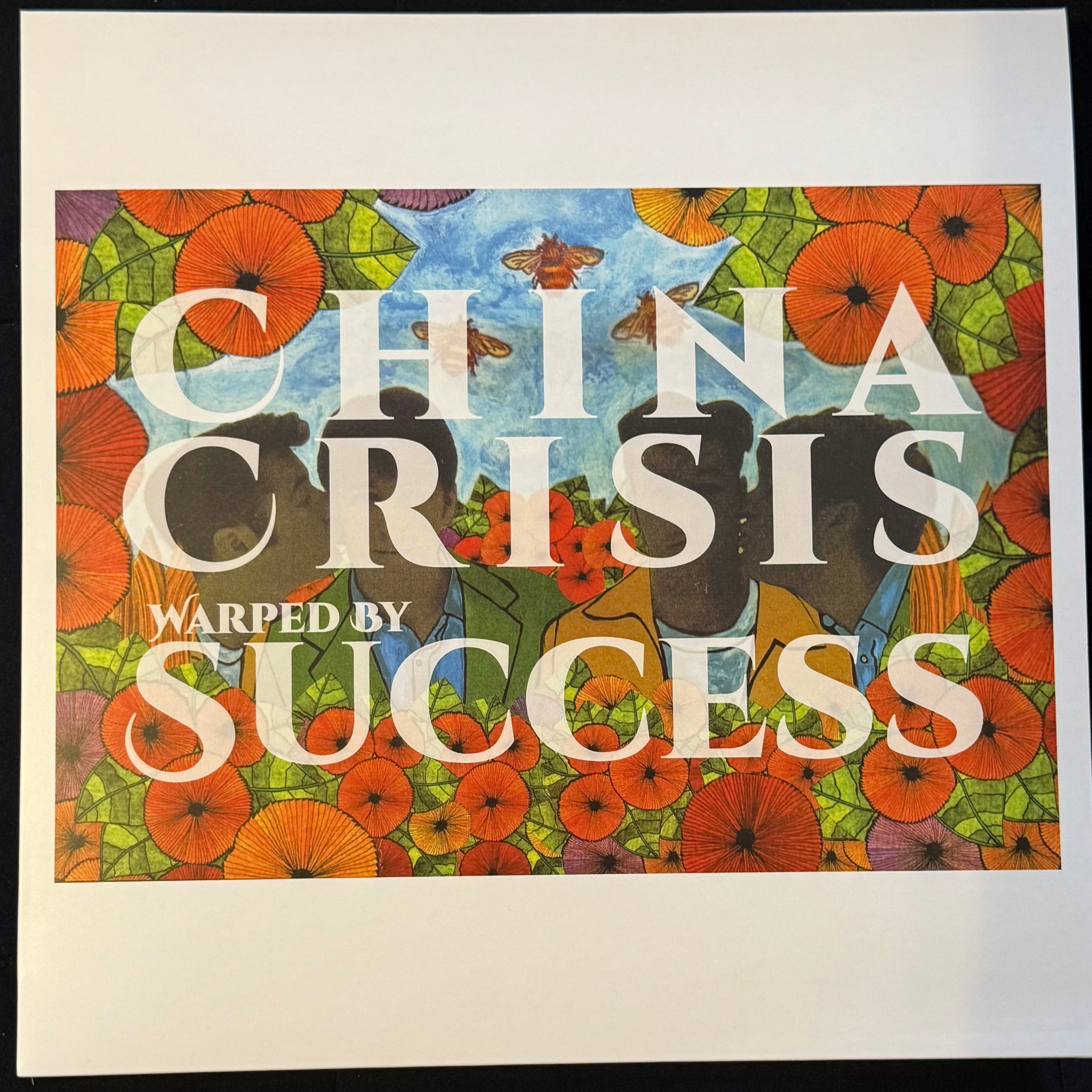 Warped By Success (Remastered 2026) VINYL