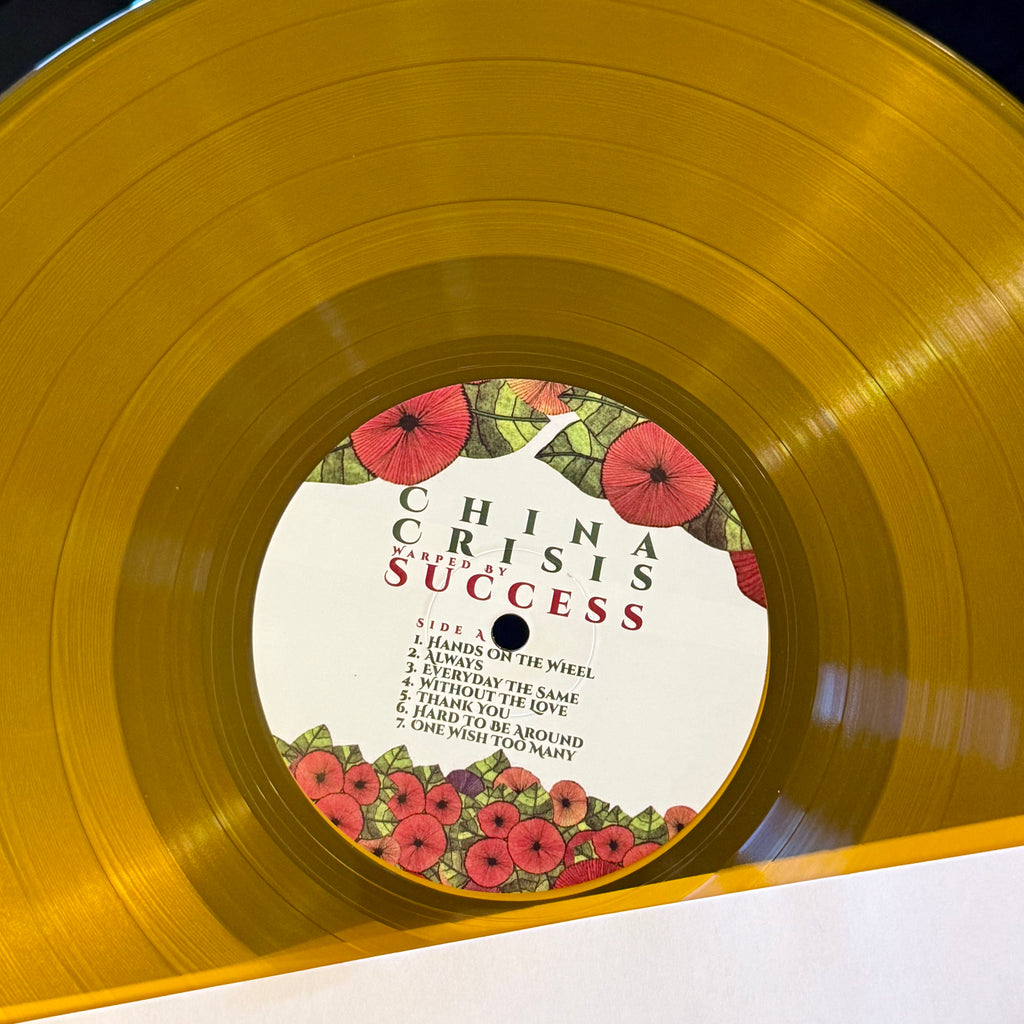 Warped By Success (Remastered 2026) VINYL