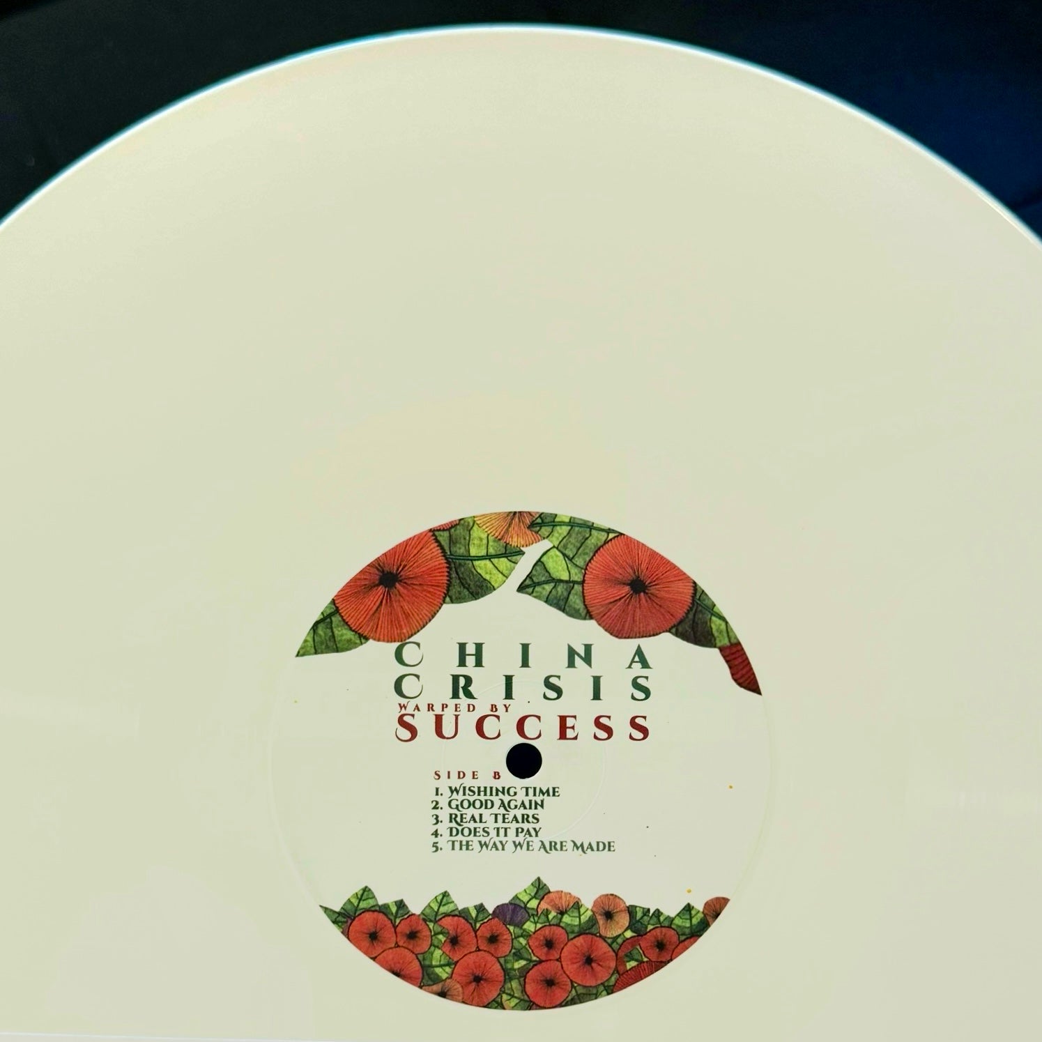 Warped By Success (Remastered 2026) VINYL